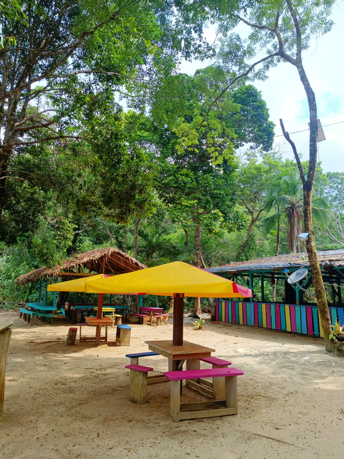 Tropical Húmedo