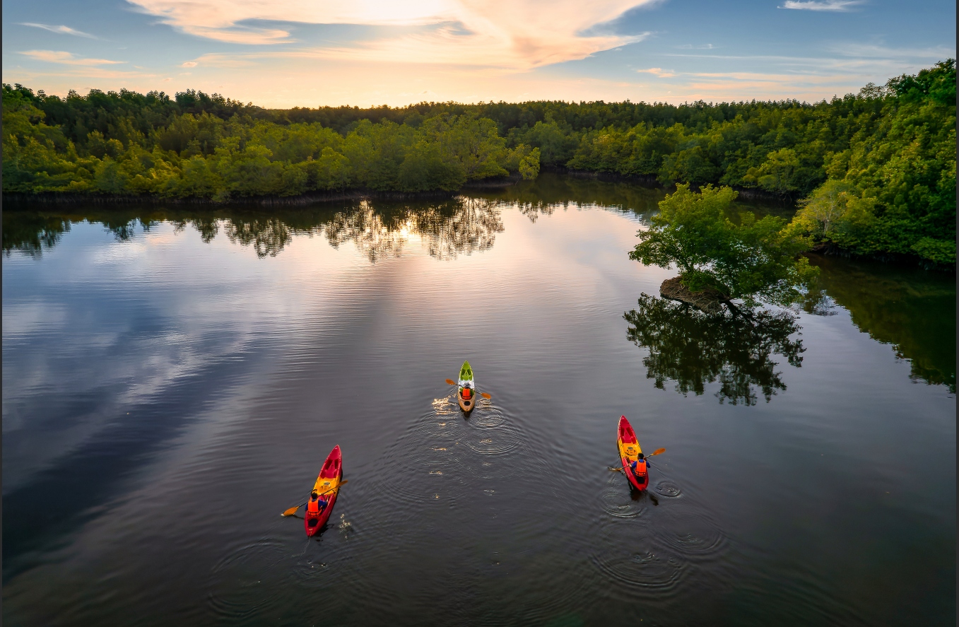 Tour en Balsa o Kayak