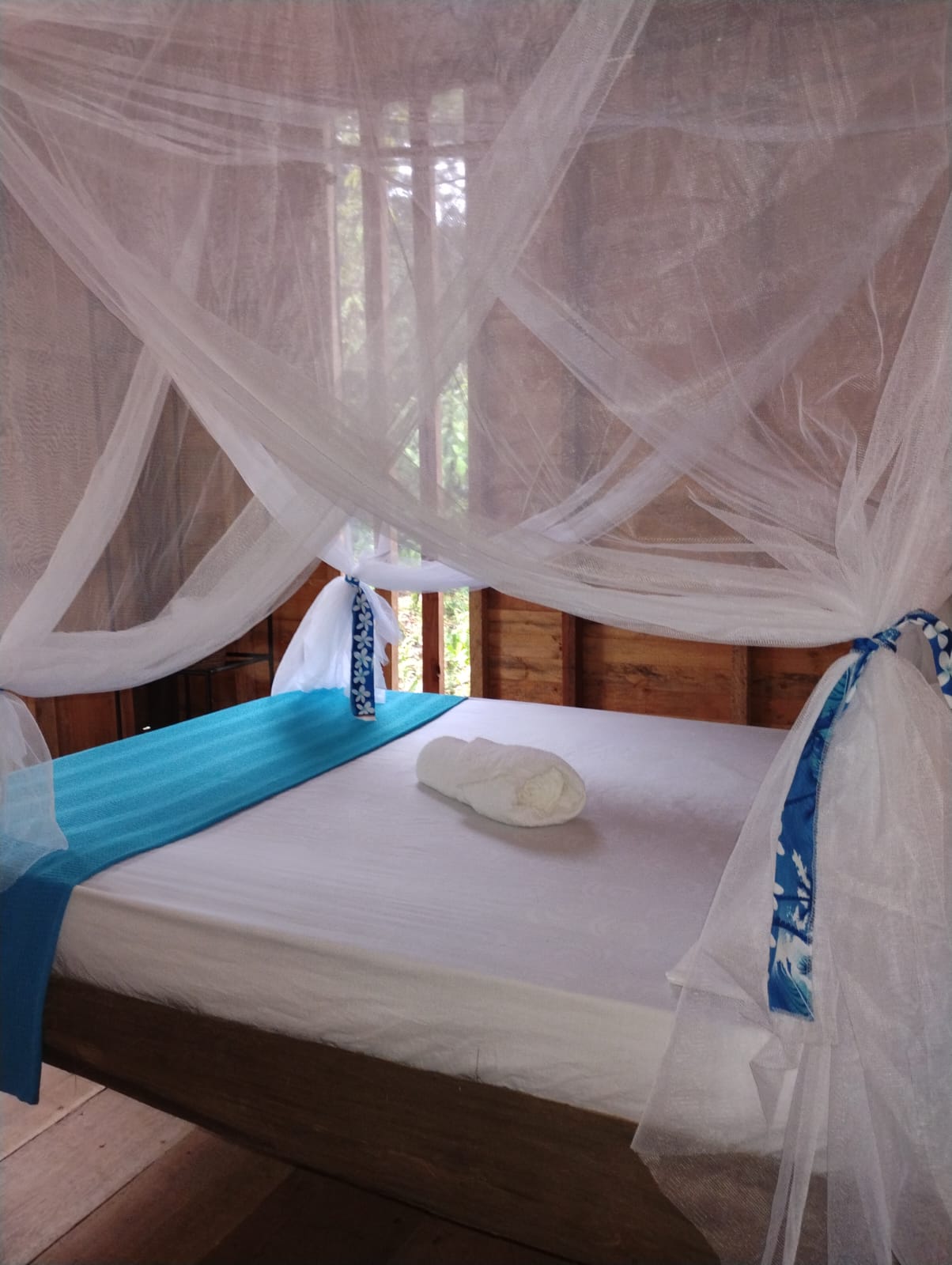 Eco resort manglar